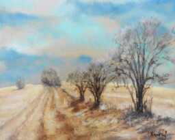 Zima bez sněhu  30x42